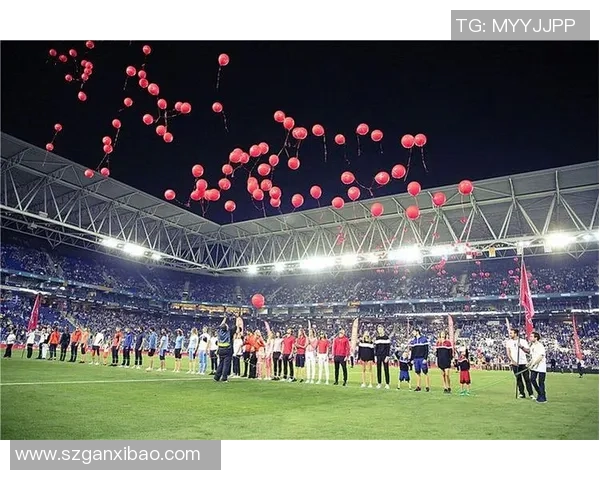 内向球星在绿茵场上的低调光辉与非凡魅力探索